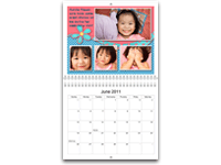 Picaboo Premium Calendar