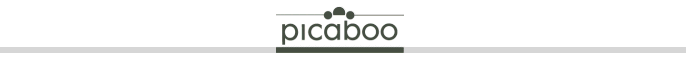 Welcome to Picaboo Idea Center