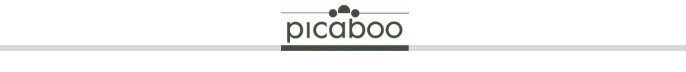 Picaboo