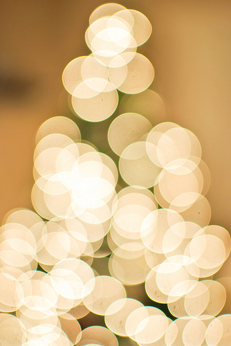 boken Holiday Bokeh Picaboo photography tips