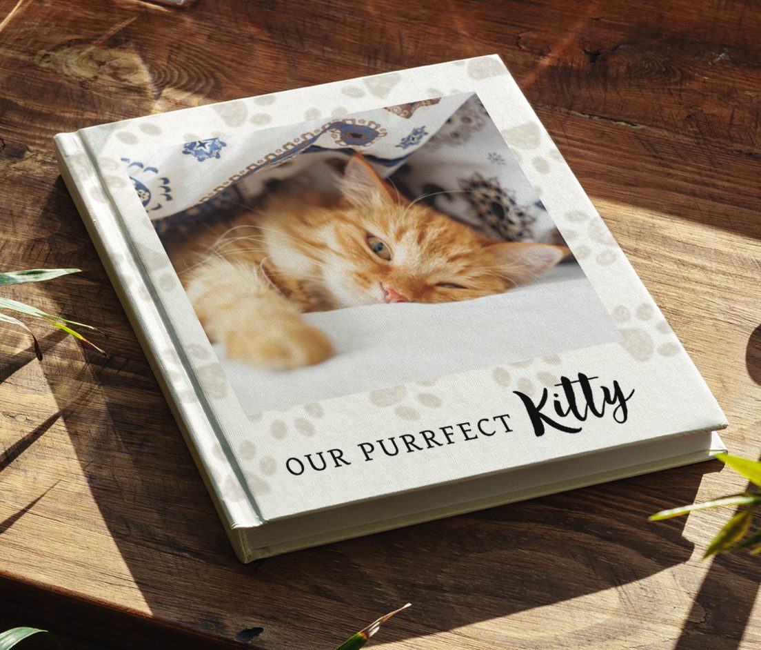 New Photobook Themes